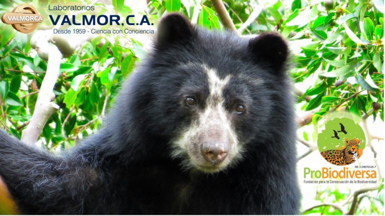 Responsabilidad Social Empresarial – VALMORCA