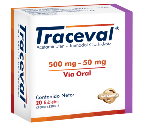 RENDERING TRACEVALl 500 20